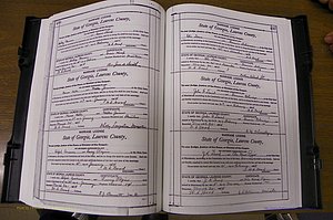 Laurens Co, GA, Marriages Book N, 1905 - 1915, White, P 496-497.JPG