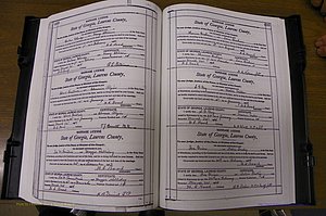 Laurens Co, GA, Marriages Book N, 1905 - 1915, White, P 498-499.JPG