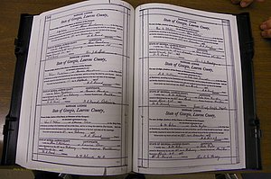 Laurens Co, GA, Marriages Book N, 1905 - 1915, White, P 506-507.JPG