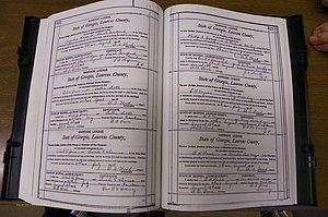 Laurens Co, GA, Marriages Book N, 1905 - 1915, White, P 522-523.JPG