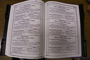 Laurens Co, GA, Marriages Book N, 1905 - 1915, White, P 524-525.JPG