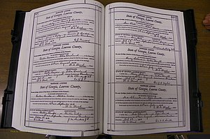 Laurens Co, GA, Marriages Book N, 1905 - 1915, White, P 528-529.JPG