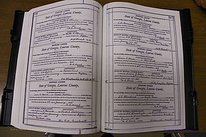 Laurens Co, GA, Marriages Book N, 1905 - 1915, White, P 546-547.JPG