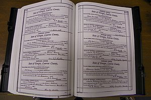 Laurens Co, GA, Marriages Book N, 1905 - 1915, White, P 548-549.JPG