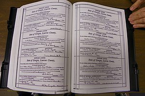 Laurens Co, GA, Marriages Book N, 1905 - 1915, White, P 556-557.JPG