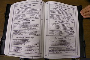 Laurens Co, GA, Marriages Book N, 1905 - 1915, White, P 564-565.JPG