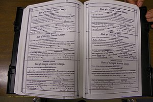 Laurens Co, GA, Marriages Book N, 1905 - 1915, White, P 582-583.JPG