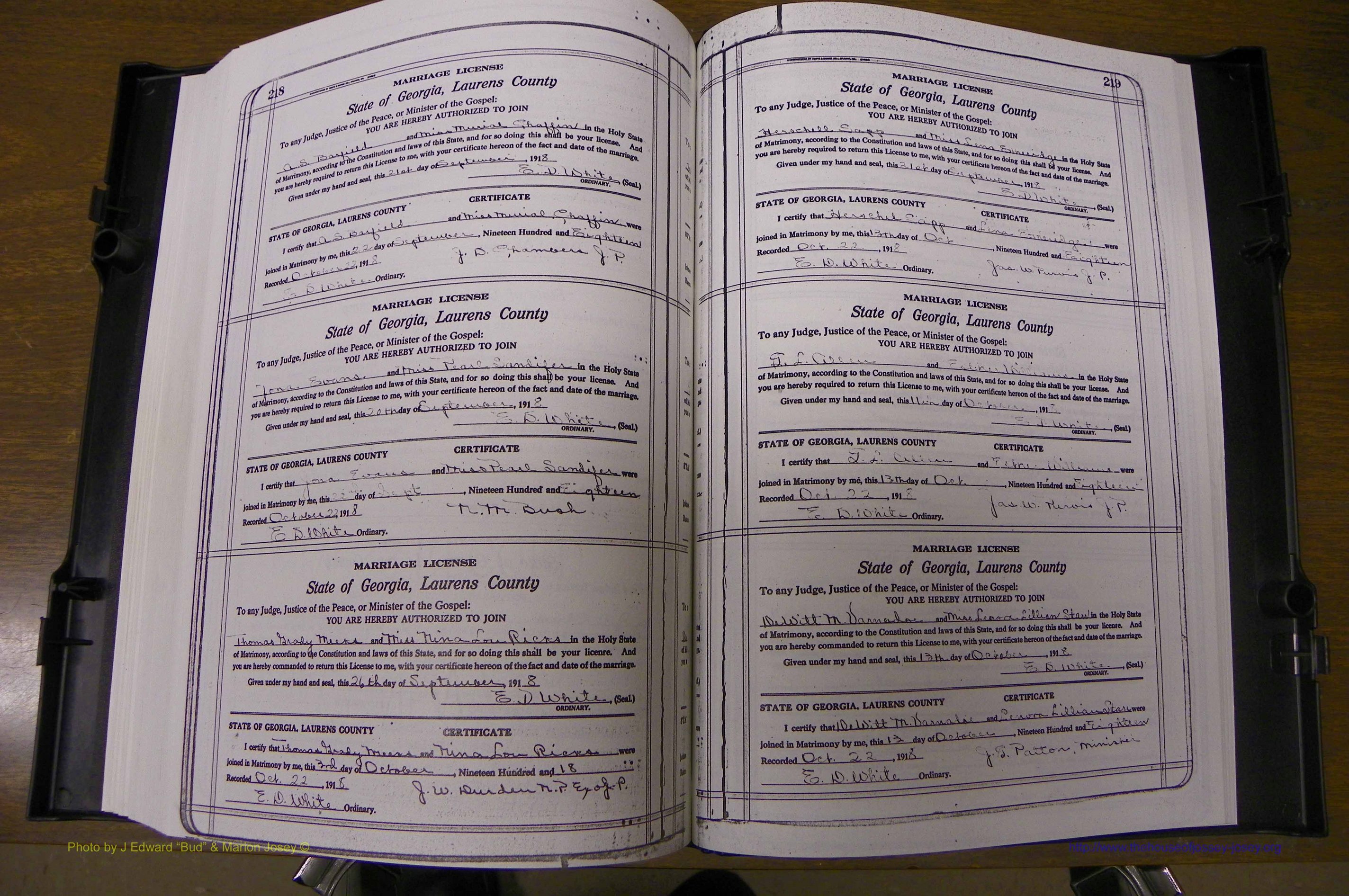 Laurens Co, GA, Marriages Book P, 1915 - 1924, White, P 218-219.JPG