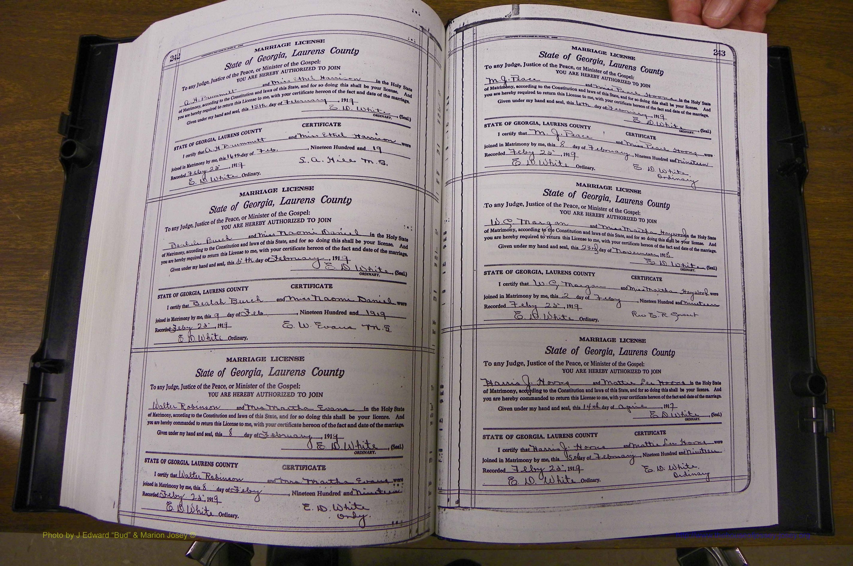 Laurens Co, GA, Marriages Book P, 1915 - 1924, White, P 242-243.JPG