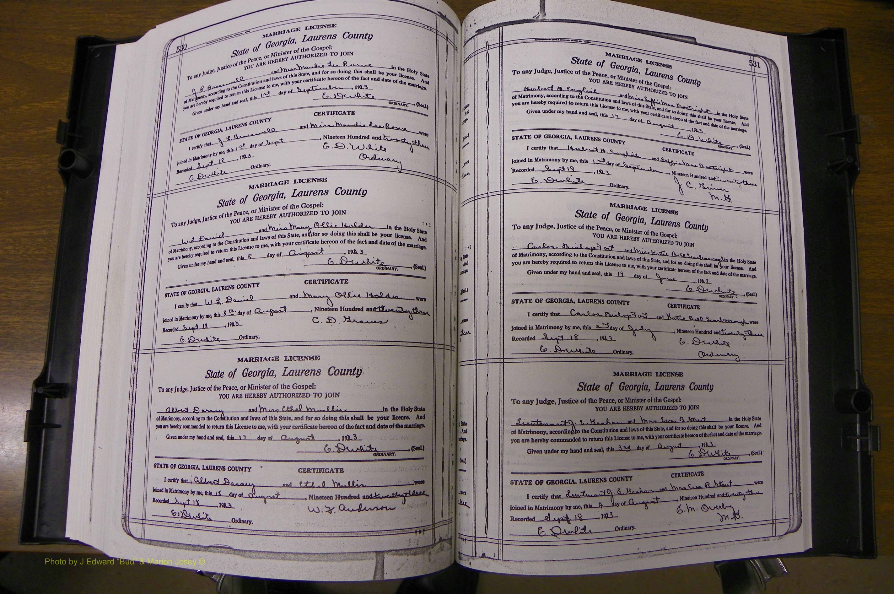 Laurens Co, GA, Marriages Book P, 1915 - 1924, White, P 530-531.JPG
