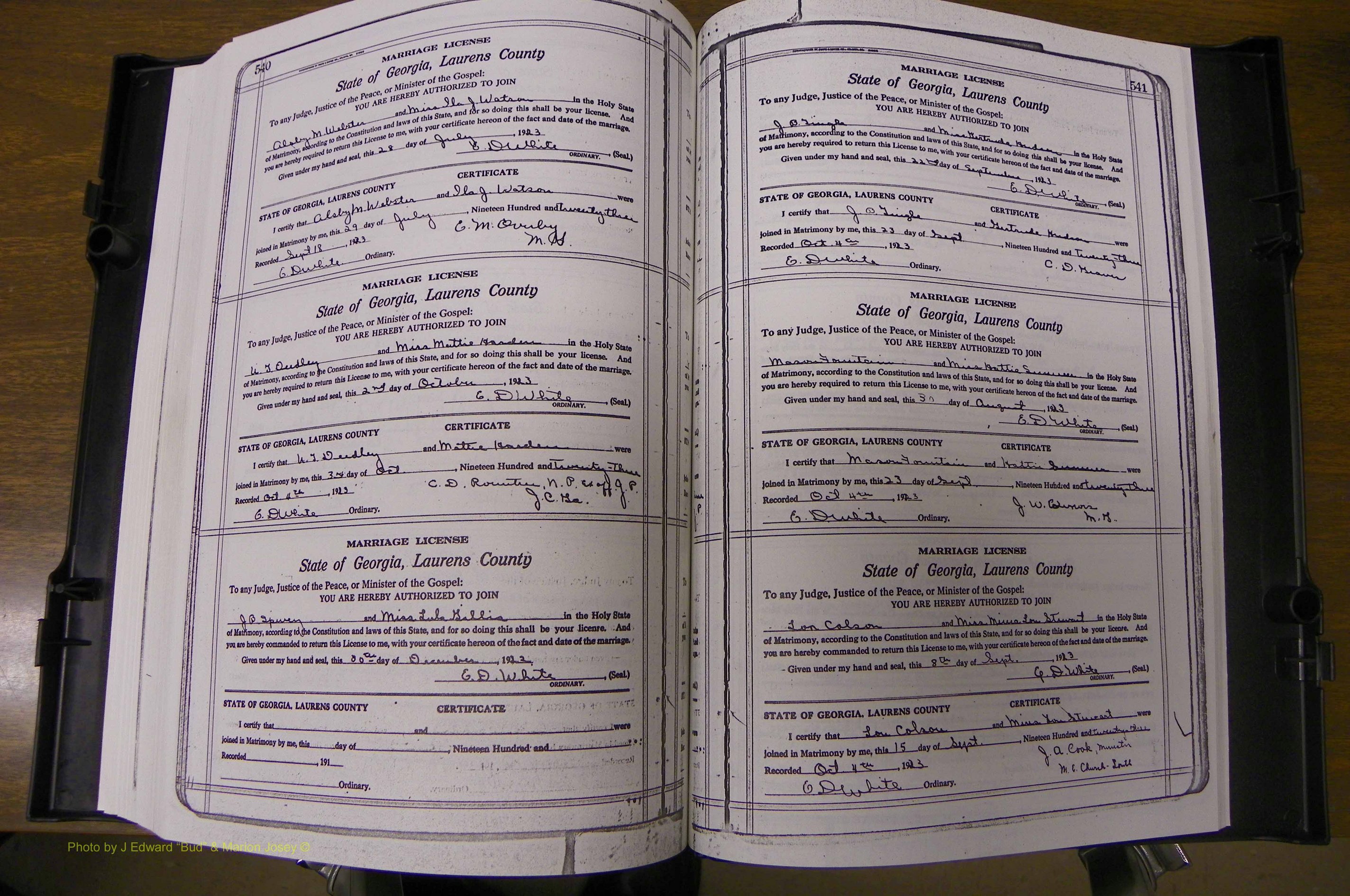 Laurens Co, GA, Marriages Book P, 1915 - 1924, White, P 540-541.JPG