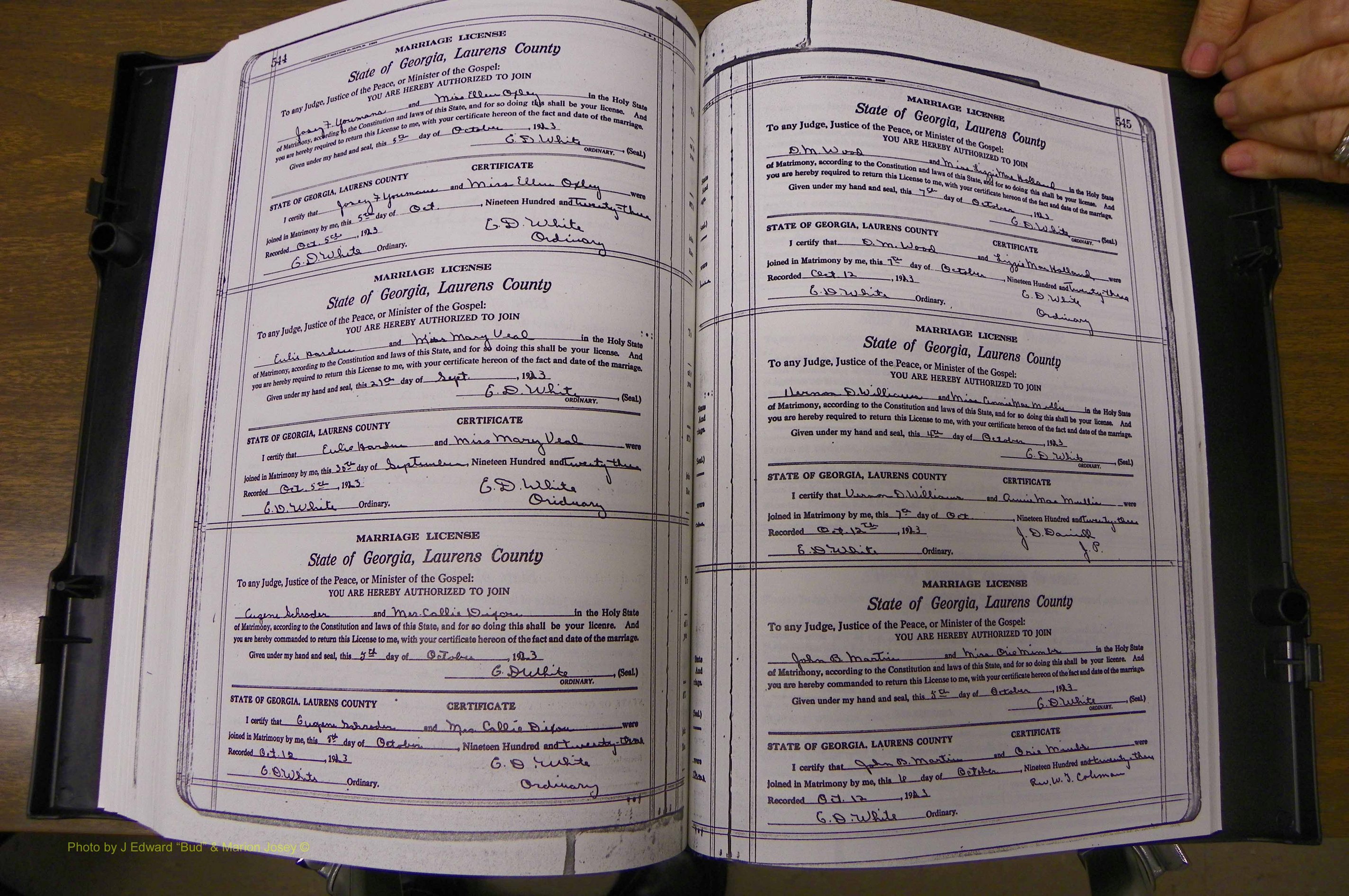 Laurens Co, GA, Marriages Book P, 1915 - 1924, White, P 544-545.JPG