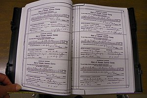 Laurens Co, GA, Marriages Book P, 1915 - 1924, White, P 004-005.JPG