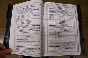 Laurens Co, GA, Marriages Book P, 1915 - 1924, White, P 006-007.JPG
