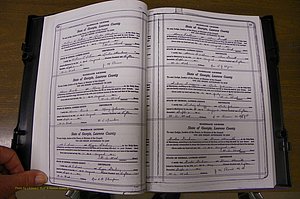 Laurens Co, GA, Marriages Book P, 1915 - 1924, White, P 010-011.JPG