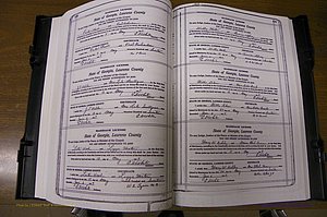 Laurens Co, GA, Marriages Book P, 1915 - 1924, White, P 130-131.JPG