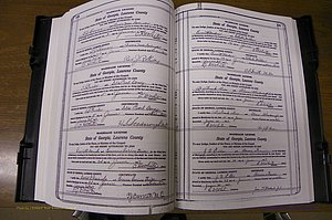 Laurens Co, GA, Marriages Book P, 1915 - 1924, White, P 134-135.JPG