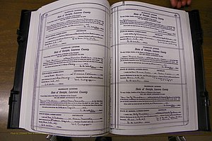 Laurens Co, GA, Marriages Book P, 1915 - 1924, White, P 152-153.JPG