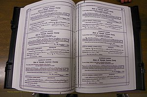 Laurens Co, GA, Marriages Book P, 1915 - 1924, White, P 160-161.JPG