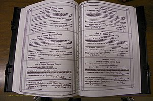 Laurens Co, GA, Marriages Book P, 1915 - 1924, White, P 162-163.JPG