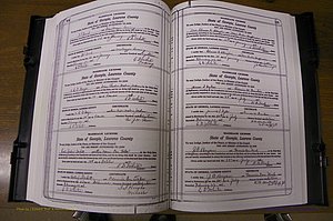 Laurens Co, GA, Marriages Book P, 1915 - 1924, White, P 164-165.JPG