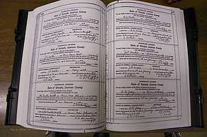 Laurens Co, GA, Marriages Book P, 1915 - 1924, White, P 166-167.JPG
