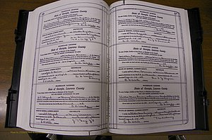 Laurens Co, GA, Marriages Book P, 1915 - 1924, White, P 186-187.JPG