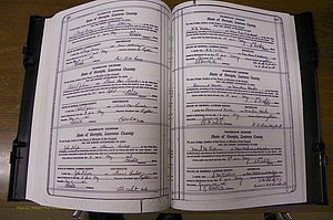 Laurens Co, GA, Marriages Book P, 1915 - 1924, White, P 192-193.JPG