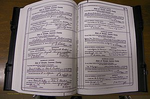 Laurens Co, GA, Marriages Book P, 1915 - 1924, White, P 202-203.JPG