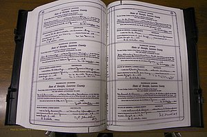 Laurens Co, GA, Marriages Book P, 1915 - 1924, White, P 204-205.JPG