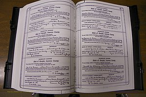 Laurens Co, GA, Marriages Book P, 1915 - 1924, White, P 206-207.JPG