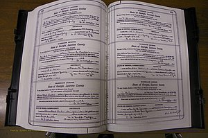 Laurens Co, GA, Marriages Book P, 1915 - 1924, White, P 208-209.JPG