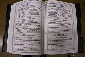 Laurens Co, GA, Marriages Book P, 1915 - 1924, White, P 210-211.JPG