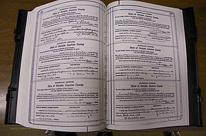 Laurens Co, GA, Marriages Book P, 1915 - 1924, White, P 214-215.JPG