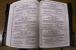 Laurens Co, GA, Marriages Book P, 1915 - 1924, White, P 216-217.JPG