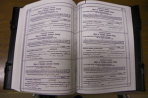 Laurens Co, GA, Marriages Book P, 1915 - 1924, White, P 218-219.JPG