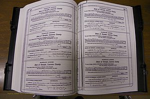 Laurens Co, GA, Marriages Book P, 1915 - 1924, White, P 220-221.JPG
