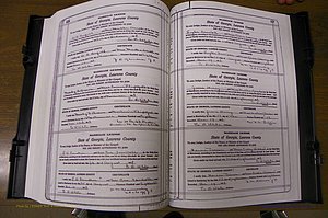Laurens Co, GA, Marriages Book P, 1915 - 1924, White, P 226-227.JPG