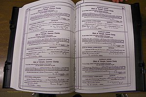 Laurens Co, GA, Marriages Book P, 1915 - 1924, White, P 228-229.JPG