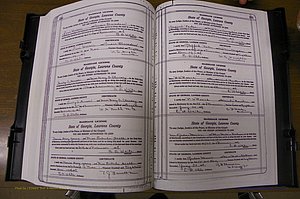 Laurens Co, GA, Marriages Book P, 1915 - 1924, White, P 230-231.JPG