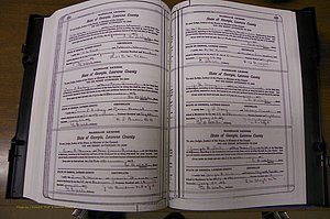 Laurens Co, GA, Marriages Book P, 1915 - 1924, White, P 232-233.JPG