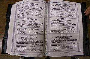 Laurens Co, GA, Marriages Book P, 1915 - 1924, White, P 234-235.JPG