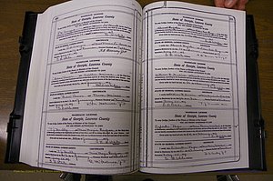 Laurens Co, GA, Marriages Book P, 1915 - 1924, White, P 240-241.JPG