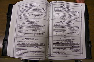 Laurens Co, GA, Marriages Book P, 1915 - 1924, White, P 244-245.JPG