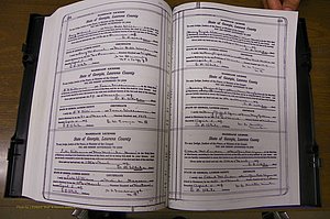 Laurens Co, GA, Marriages Book P, 1915 - 1924, White, P 254-255.JPG