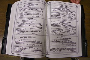 Laurens Co, GA, Marriages Book P, 1915 - 1924, White, P 266-267.JPG