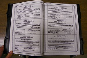 Laurens Co, GA, Marriages Book P, 1915 - 1924, White, P 310-311.JPG