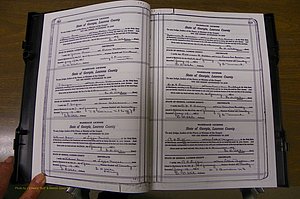 Laurens Co, GA, Marriages Book P, 1915 - 1924, White, P 312-313.JPG