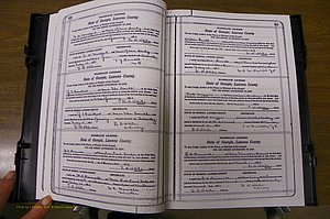 Laurens Co, GA, Marriages Book P, 1915 - 1924, White, P 320-321.JPG