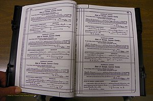 Laurens Co, GA, Marriages Book P, 1915 - 1924, White, P 324-325.JPG